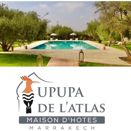 Ouled el guerne Upupa De L'Atlas מראה חיצוני תמונה