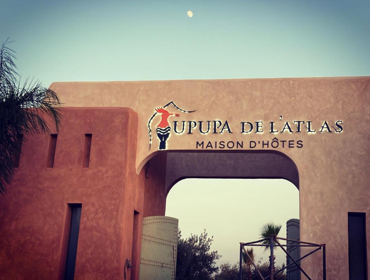 Ouled el guerne Upupa De L'Atlas מראה חיצוני תמונה