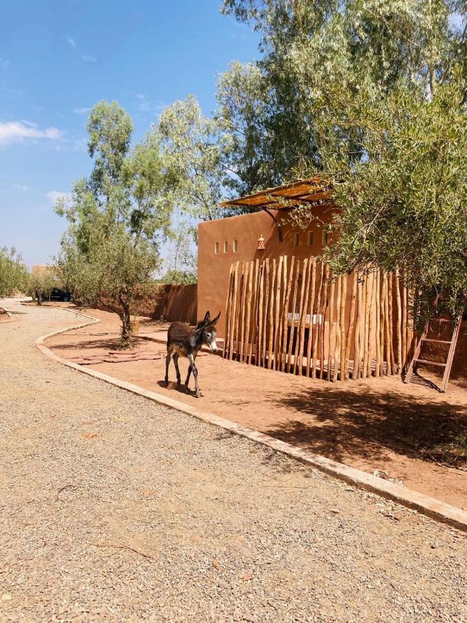 Ouled el guerne Upupa De L'Atlas מראה חיצוני תמונה