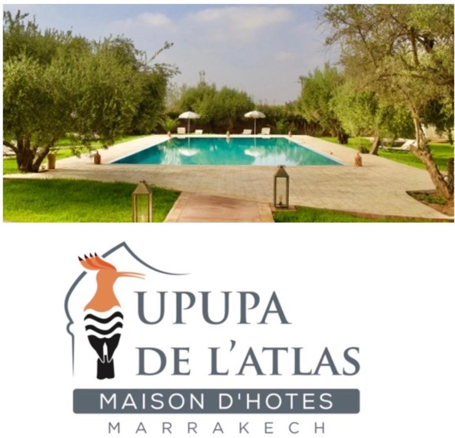 Ouled el guerne Upupa De L'Atlas מראה חיצוני תמונה