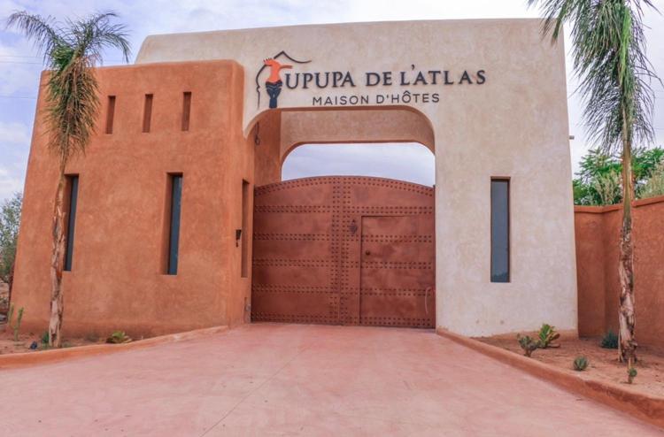 Ouled el guerne Upupa De L'Atlas מראה חיצוני תמונה