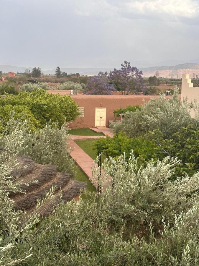Ouled el guerne Upupa De L'Atlas מראה חיצוני תמונה